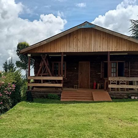 The Wonky House Apartment Timau Екстериор снимка