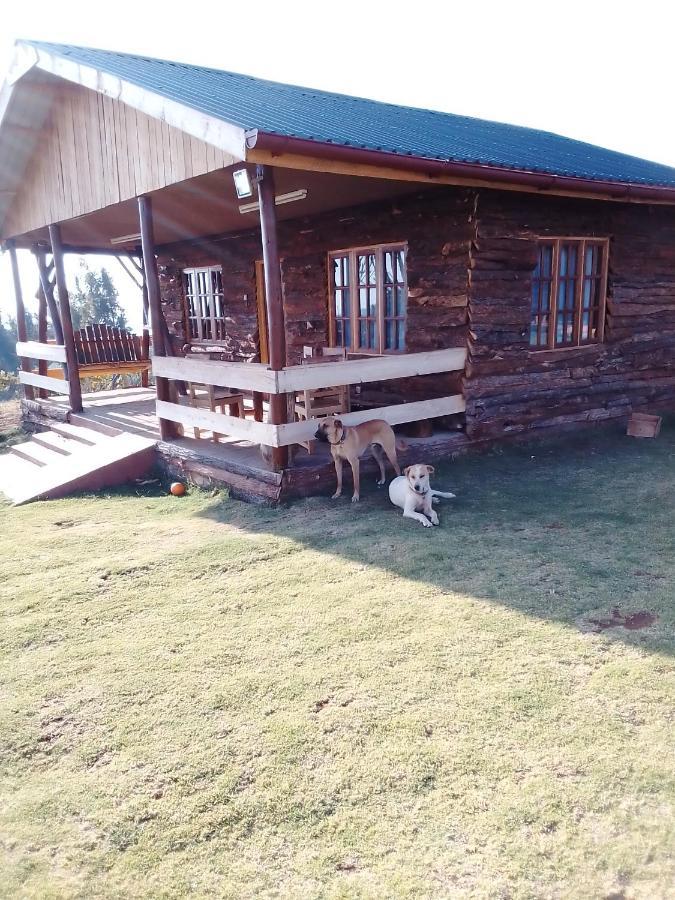 The Wonky House Apartment Timau Екстериор снимка