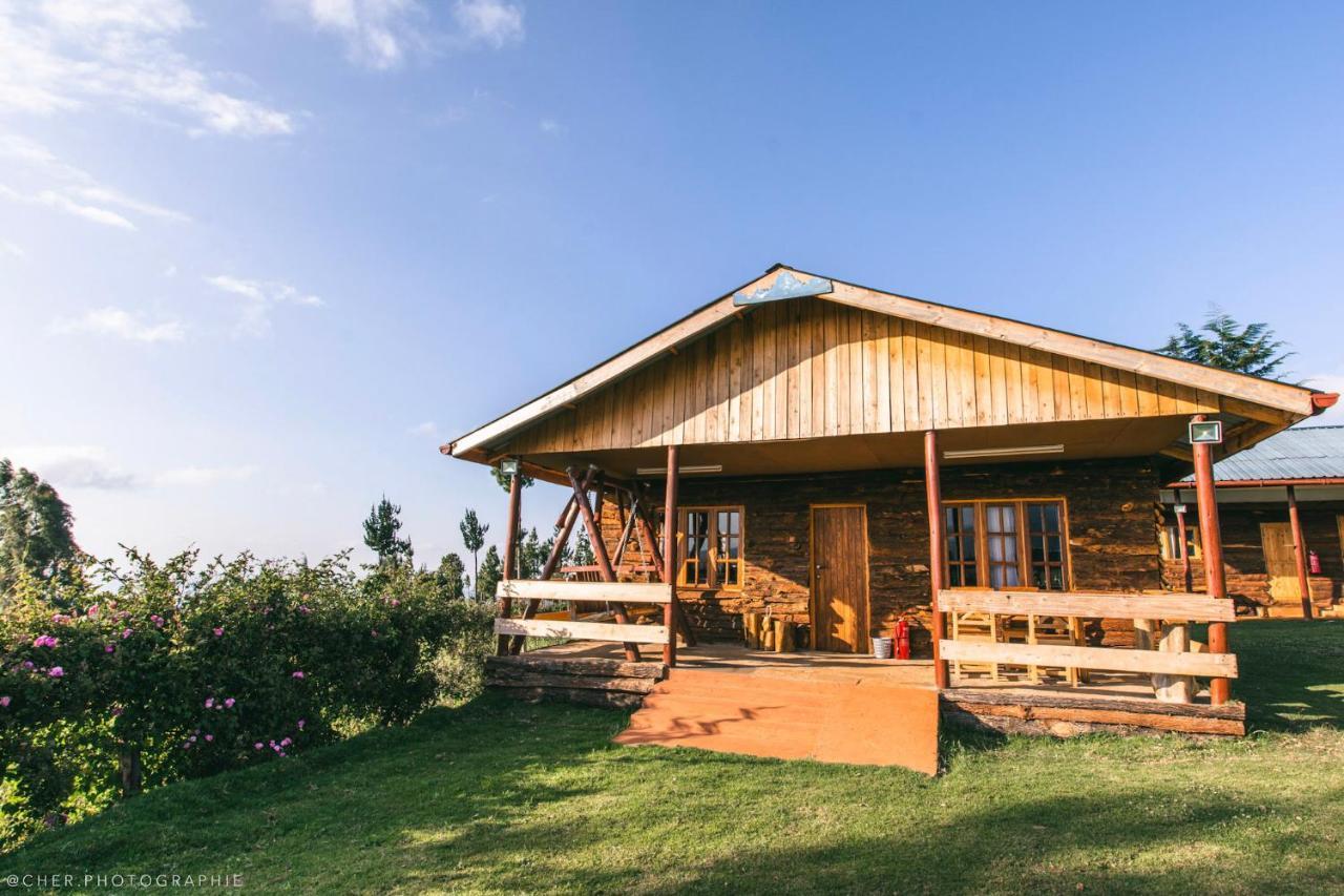 The Wonky House Apartment Timau Екстериор снимка